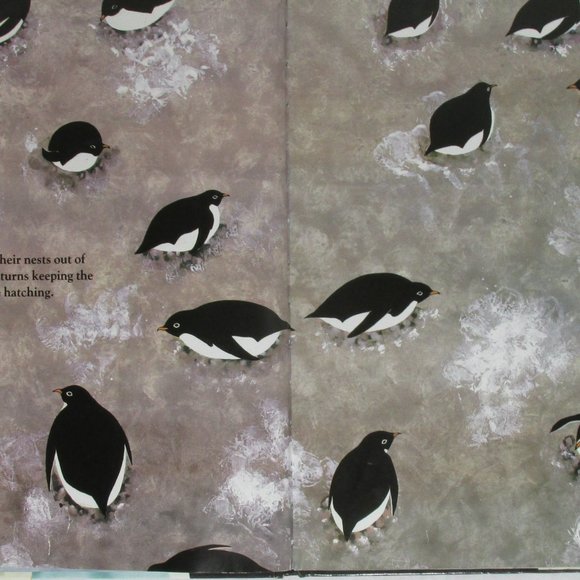 Antarctica by Helen Cowcher Still Has Dustjacket Protection (1990, Hardcover) - Picture 2 of 9